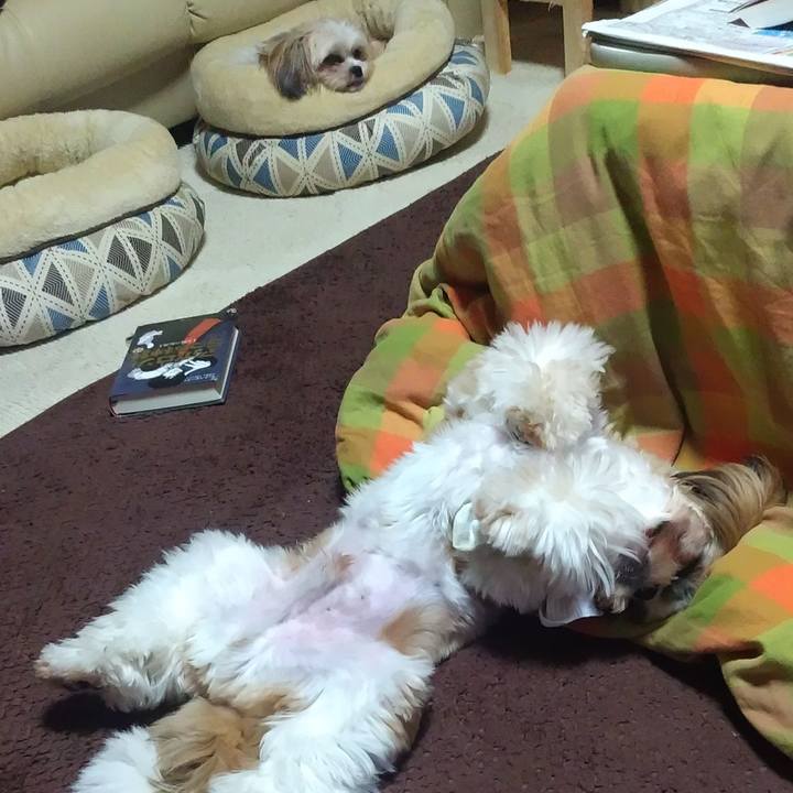 Ad94e451 d910 4a99 8fab 89f4c8eba2b1 1572607465635