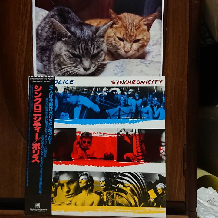 Ad94fd45 9a35 4165 b8c7 332f360f083c 1600340825402