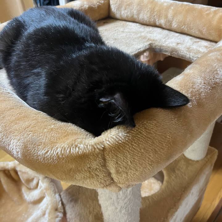 Ad950c89 15dd 407a a786 91a0aa7ca5f3 1693378494920