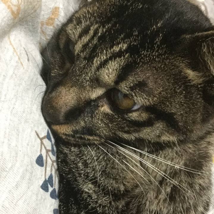 Ad9530e5 2479 4b9b 81fe 68283fa08bbc 1571222880960