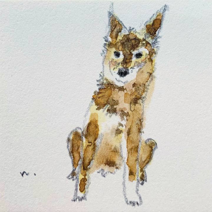 Ad953a7b b27b 4c88 9ecb a83ed16555de 1631231664020