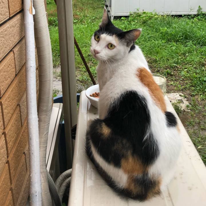 Ad954240 0e14 43b5 af53 7eb419786c91 1628942071025