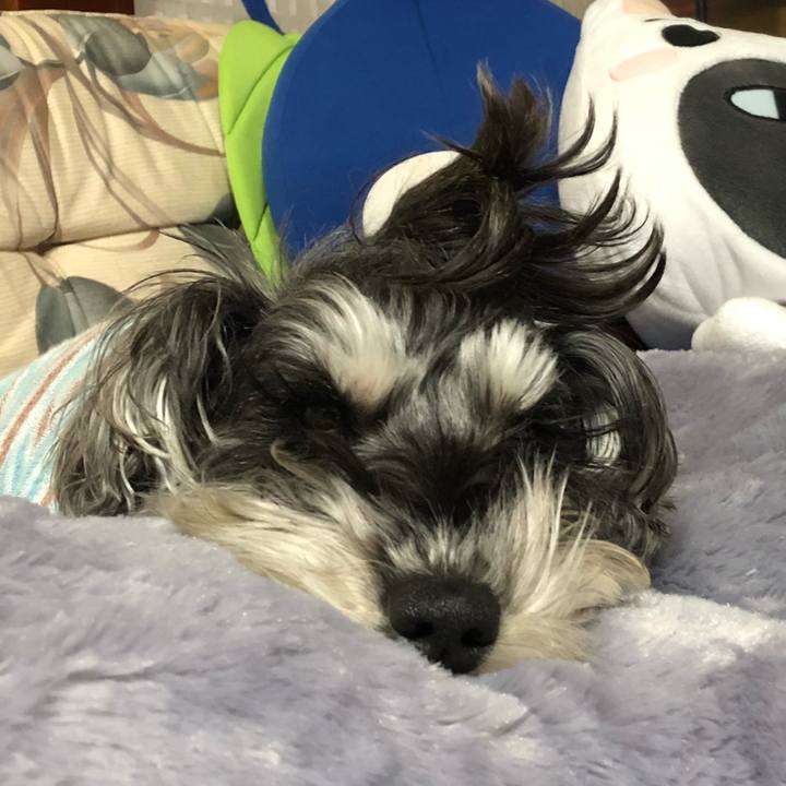 Ad954752 610c 410a a347 3865fb9b2488 1517060024652