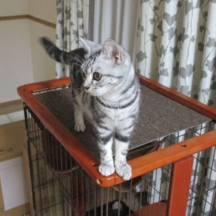 Ad9554db b247 416d 8e30 351f41454279 1537614774806