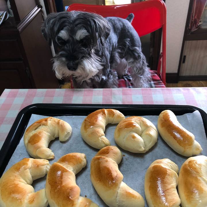 Ad955e3b 3485 4cf9 ab6b 7a9cdf64d098 1683270315133