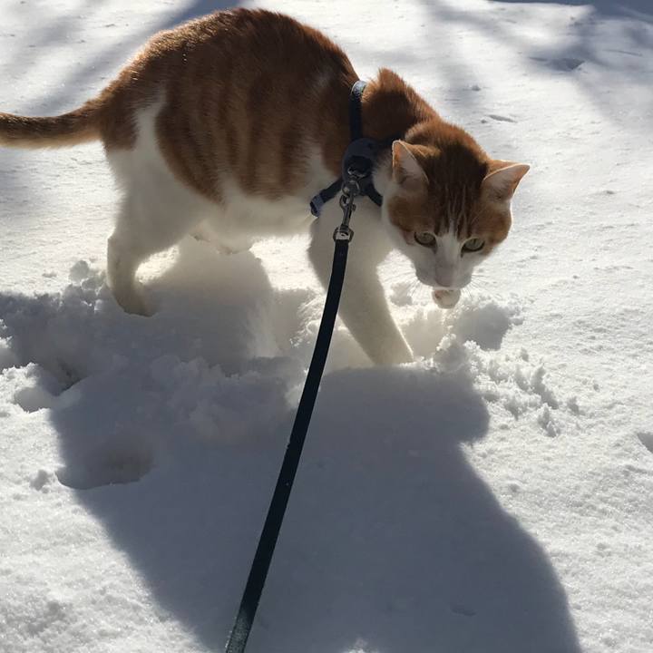 Ad957094 ac51 4d16 b1d0 60728ff85f0e 1514341652252