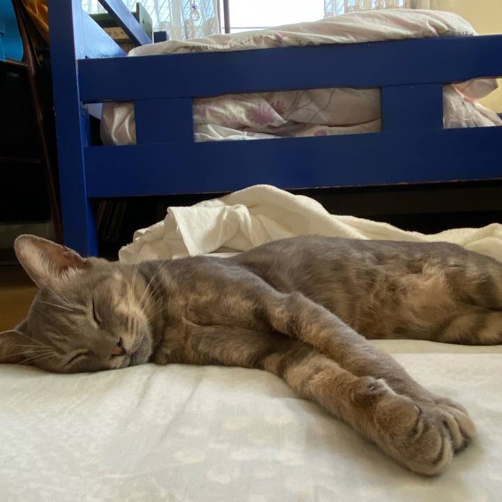 Ad95b247 3dfd 4122 a704 6bb5d6d7e5d4 1597622601922