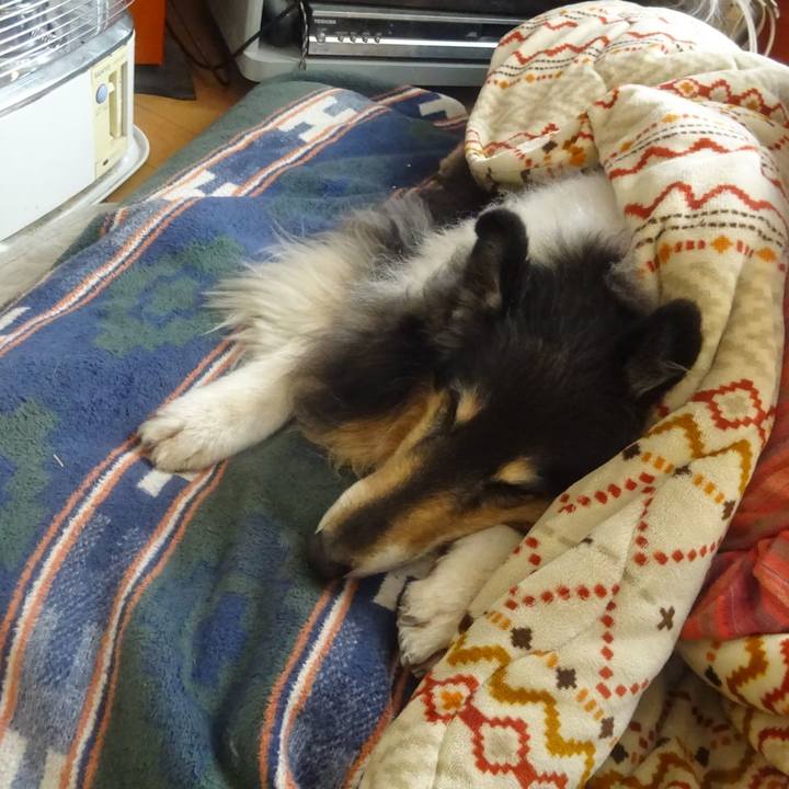 Ad95ba17 93f9 450d abdb 99985b68e6a0 1609159856605