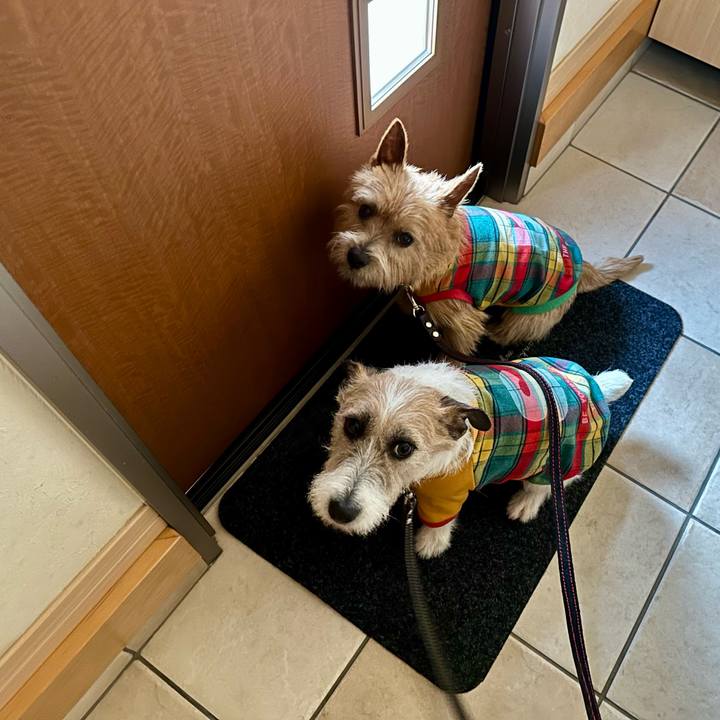 Ad95eda2 3c09 4fb1 839c 6ca2cd0d99a3 1739631467141