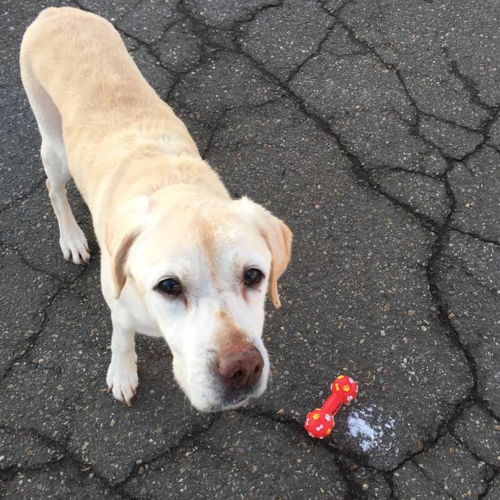 Ad95fb1c 6dfa 4b12 b9b3 8d368fe9f77b 1519337268820