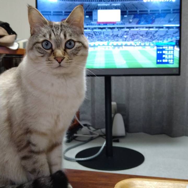 Ad9639a9 8168 4884 a553 be785965f95b 1616752310323