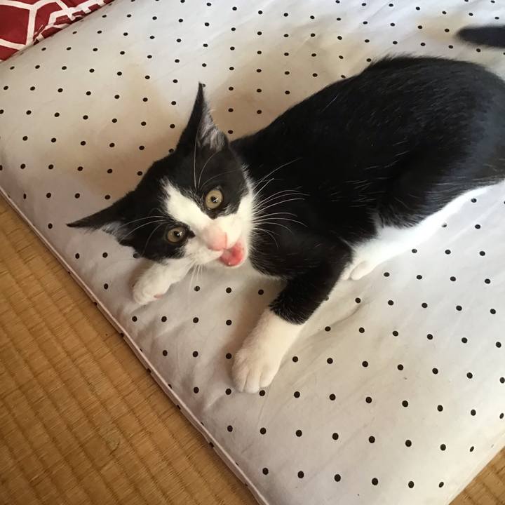 Ad967b53 f1bf 48f5 b1a4 fa23dde703c1 1626571673931