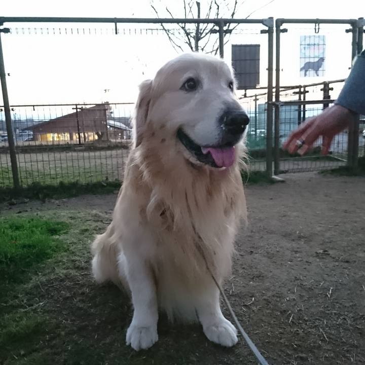 Ad967e9e 9f4e 42c8 9d2f 18d00102983e 1543305486808