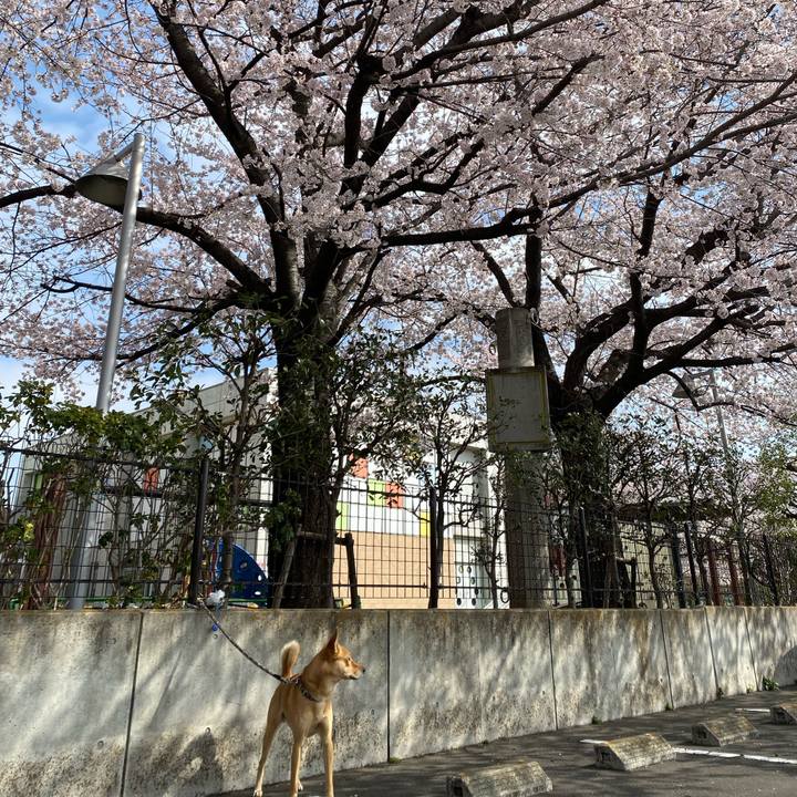 Ad96805b 7523 4e27 8845 8a89fbf5d992 1648603966916