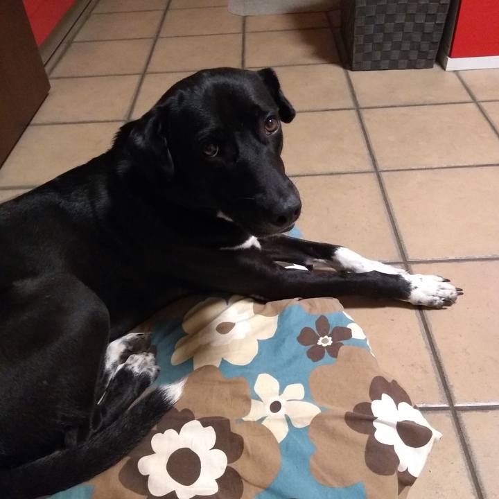 Ad968f81 7207 4338 9049 541ad26d2f56 1601461589063