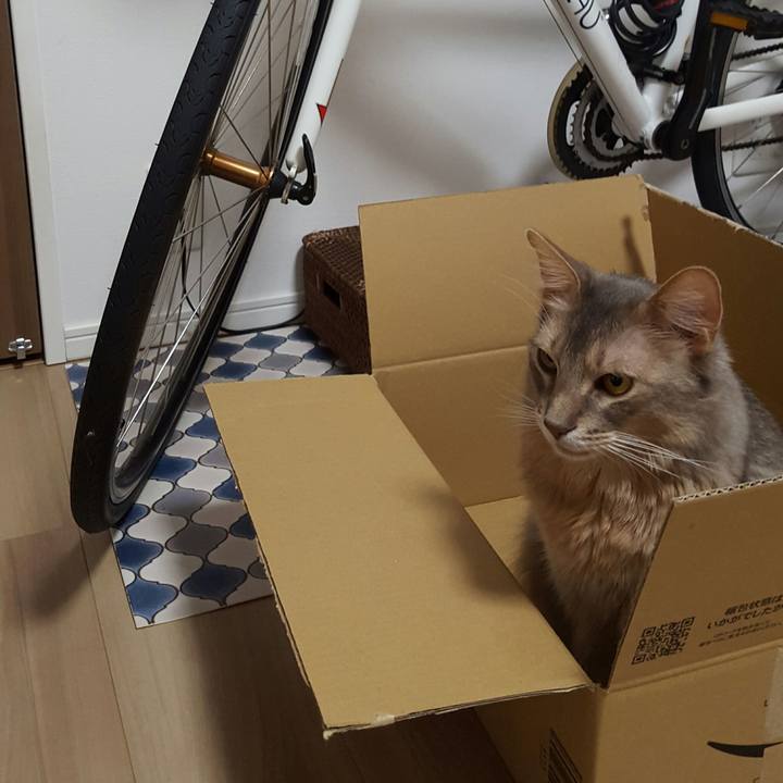 Ad968ff4 e539 4cb8 96d8 fba02cd35660 1522070491643