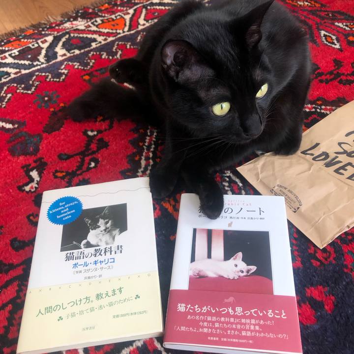 Ad96a1d3 f81b 44b4 82a3 530c7a053896 1670145554714