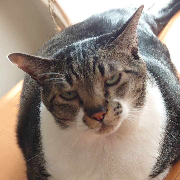 Ad96d39d 3f12 45ba 8234 4433319b4802 1623544308018