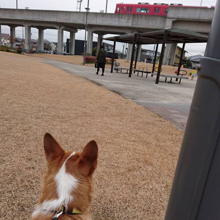 Ad96f105 65b6 4873 ab2b b06edbb16ccf 1578360207086