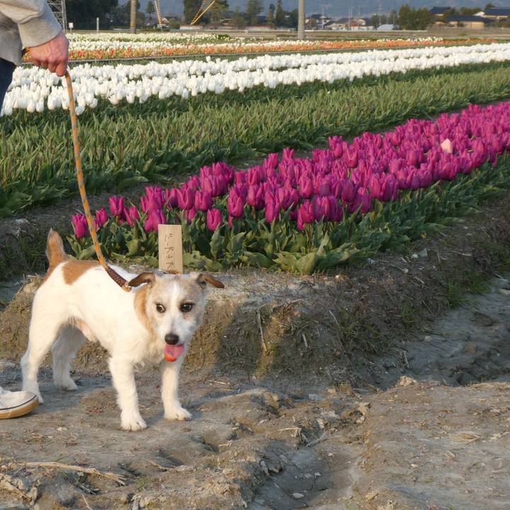 Ad970459 dd18 47a3 866f cfef144f8750 1586954464876