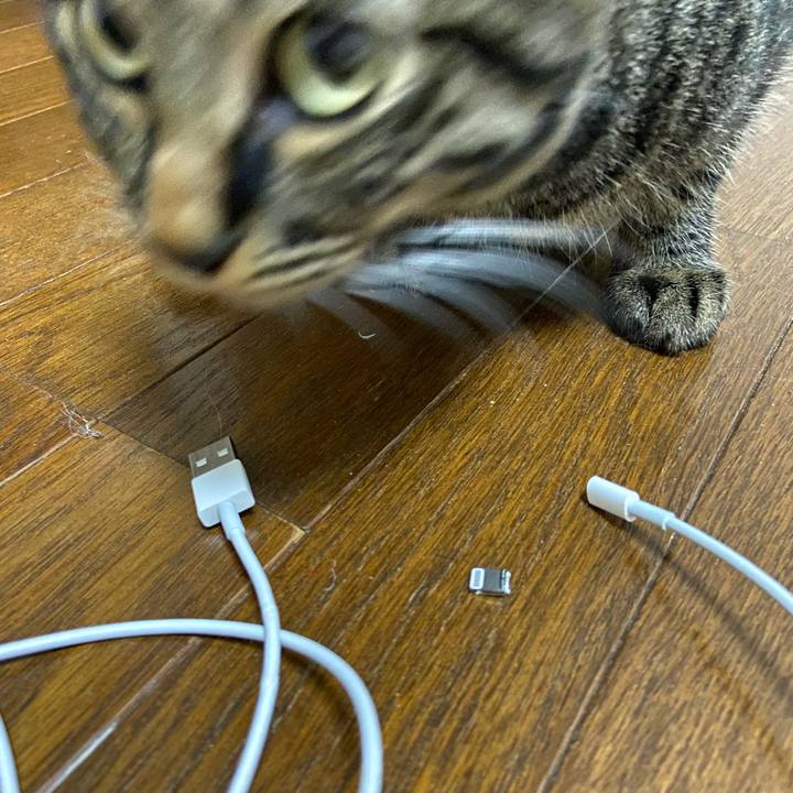 Ad972a52 29e6 47b4 8728 50d07af1ef91 1637452179115