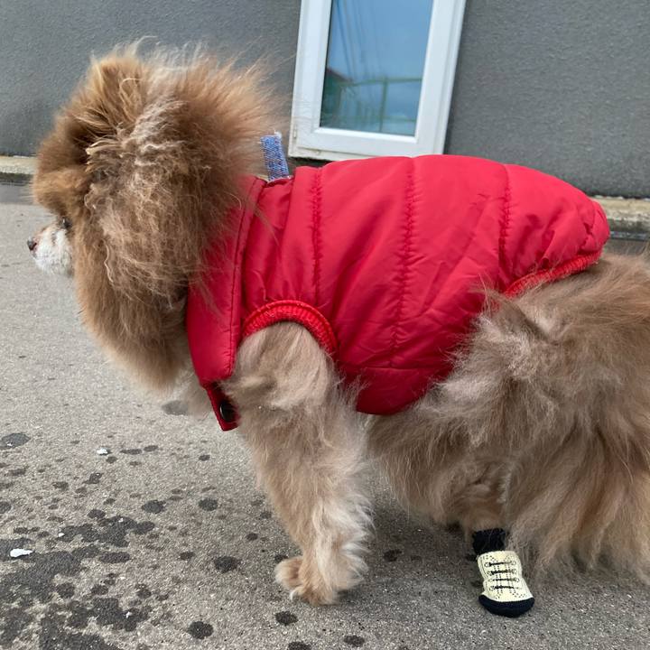 Ad9734da 78cb 45b2 8f57 0483b689c9bb 1735707270672