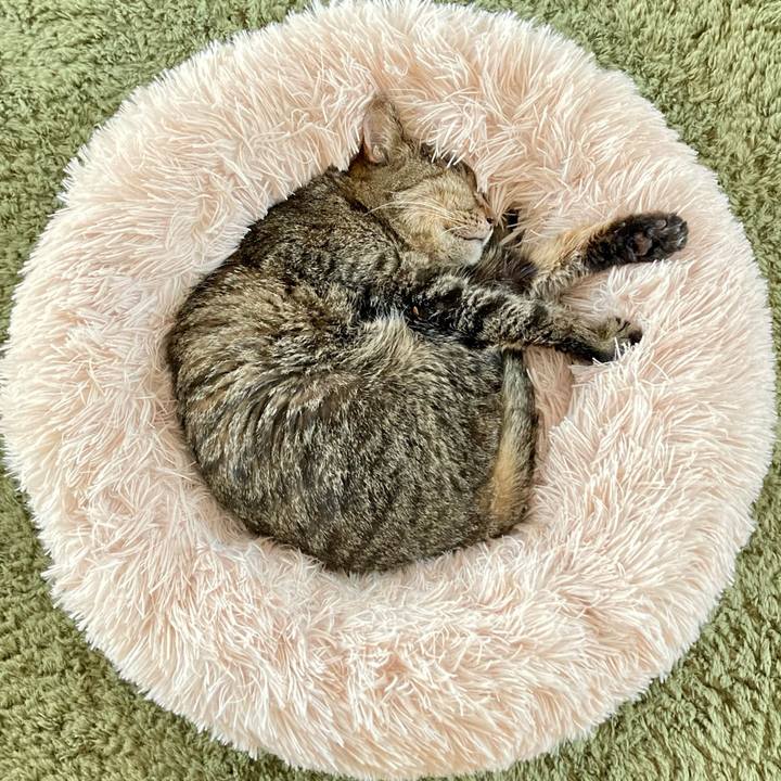 Ad97d801 9ba4 45df a0b0 7b9494e6afca 1686550334405