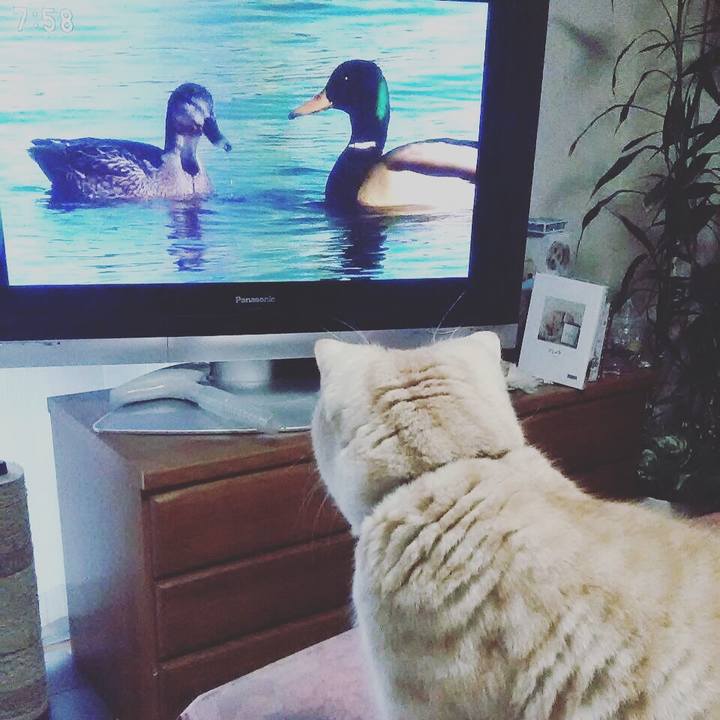 Ad984ff4 0e28 4f38 af2e 69a7d8fca314 1520136735438