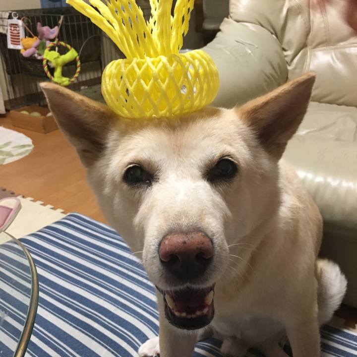 Ad9858df 3063 40e4 9644 d386d88f441e 1536325046210