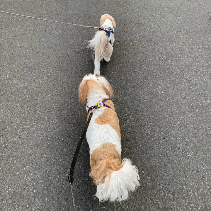 Ad987e86 b06a 42cb 8e9e a1a5f415d057 1588425999639