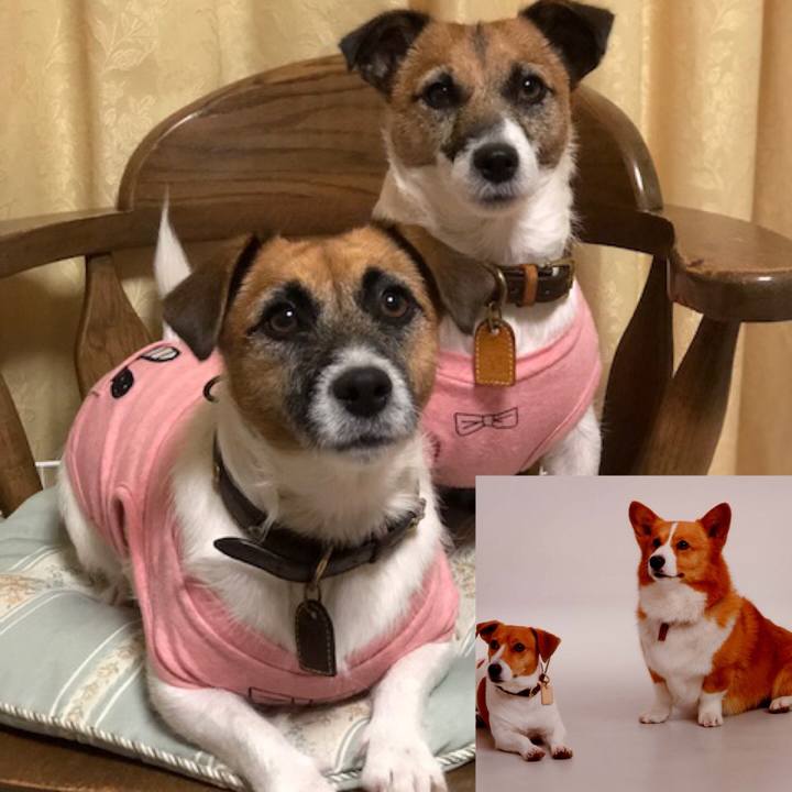 Ad989737 3fac 41b8 8d2a 6c475f546631 1542546383451