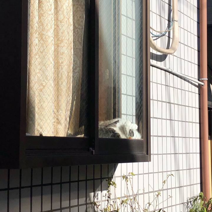 Ad98c583 65ec 4660 9604 9c9700da665f 1609364907316