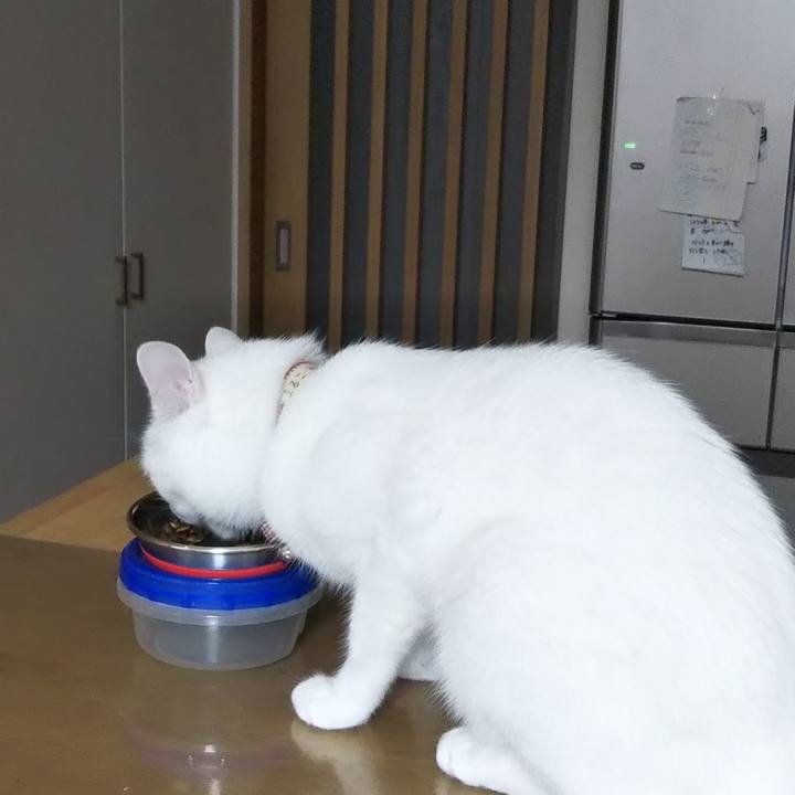 Ad98cfd3 3323 4bb5 84ef d4de91c18b45 1628366414459