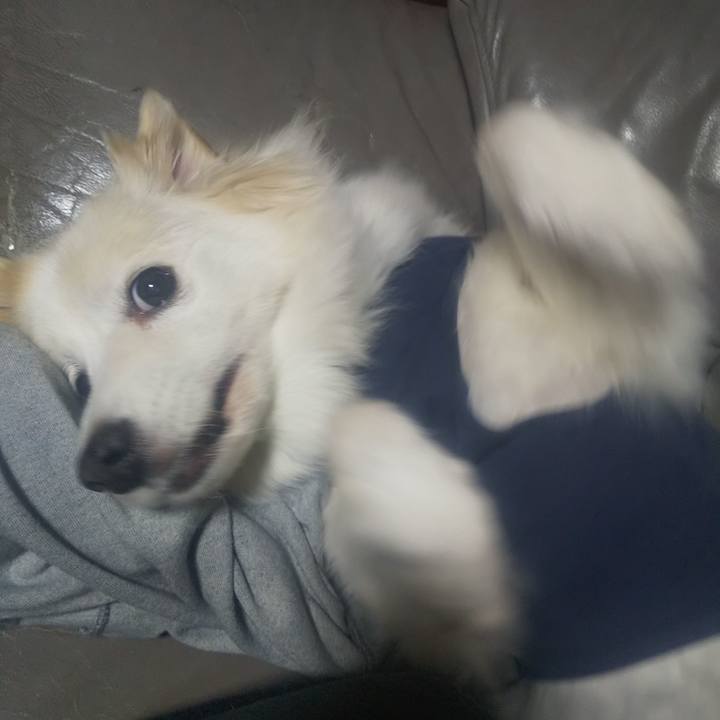 Ad98e091 cb33 4424 aa66 202cc2b10e8e 1640121059749