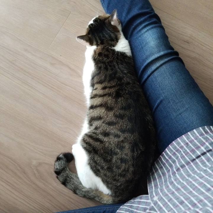 Ad98f2cf 1fe0 486b a595 d0af3b230884 1560462277574