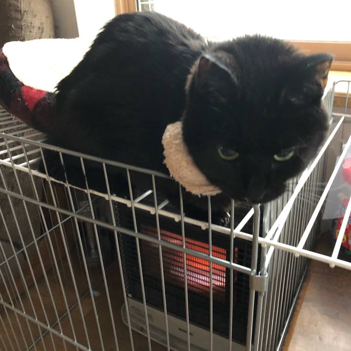 Ad9910f4 9ef3 4fc0 9e67 ee14fc769f10 1555319546923