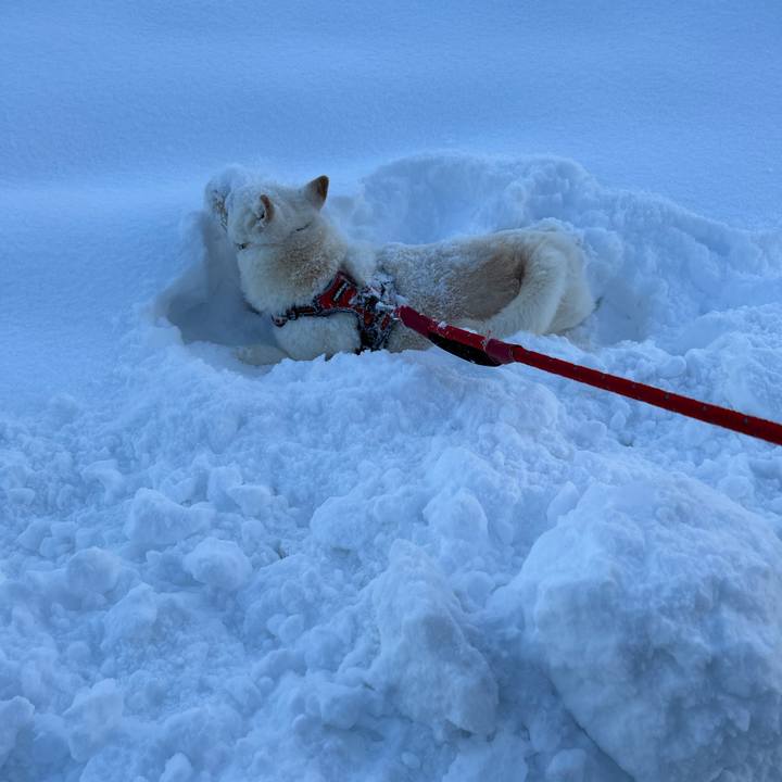 Ad993ba9 d773 4d41 98c0 ba08e912b89e 1703285037424