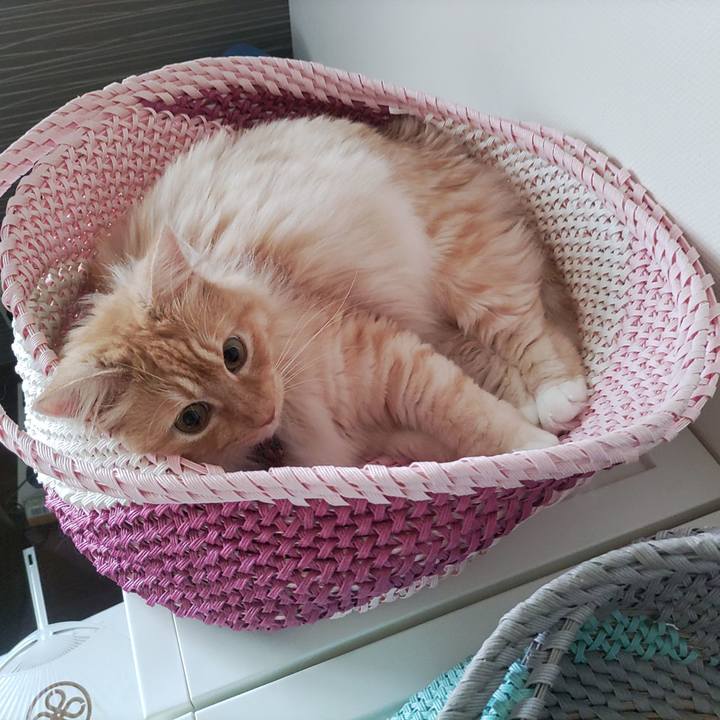 Ad994dce 5623 4736 af47 f78791687f3d 1655761160901