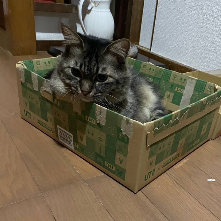 Ad996b83 17b0 4f47 892f 135cbd15b935 1694137425340