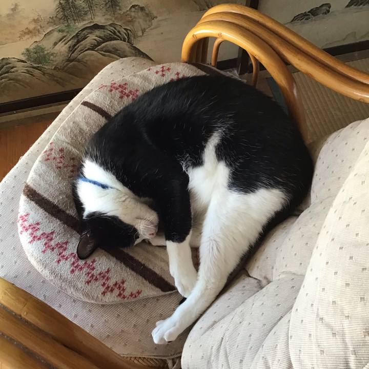 Ad99b186 61bc 4172 835f 9ec1f3e4d2ac 1717579344487