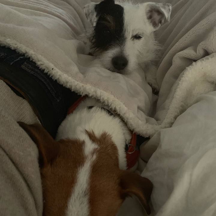 Ad9a28fc 931a 4803 91ff 62ef7c54913d 1550222602676