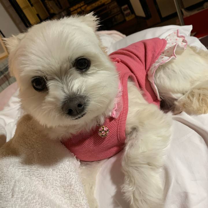 Ad9a361d 8a68 48fc a0d4 9df88287d6b5 1643710520520