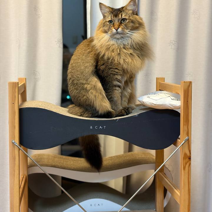 Ad9a4f04 e049 4d89 90b3 9400a3095610 1769423922342