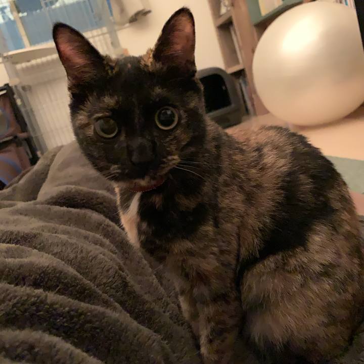 Ad9a6269 7bf9 4fdc a928 a0be87b6d66a 1577011578338