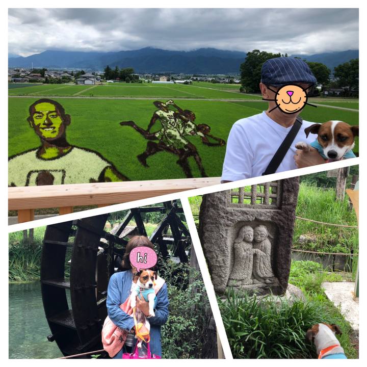 Ad9a72be 2be8 4d6e 838d 6b9aca57c575 1562645349395