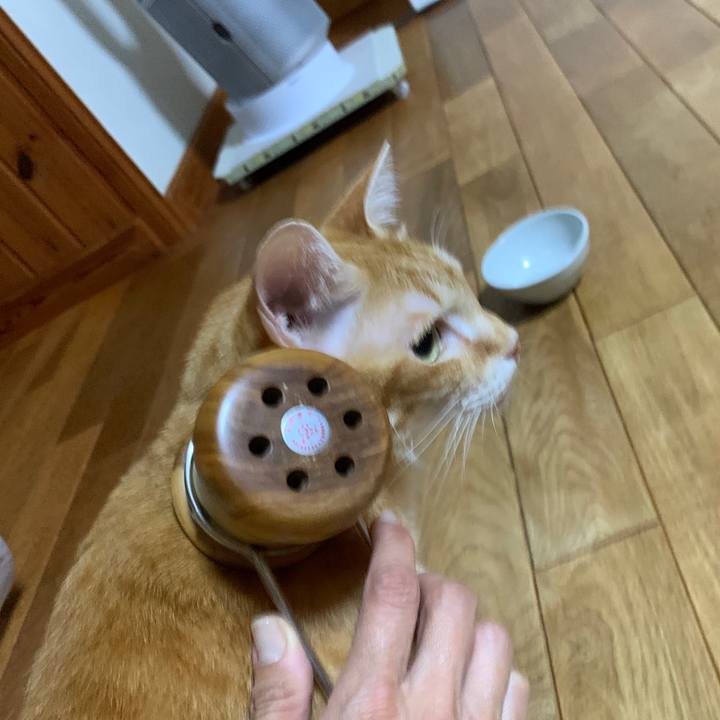 Ad9a850d 3914 4e7c 9778 ca3ee55aa6c6 1666184815321