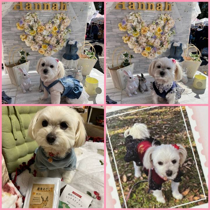 Ad9ac460 d601 44ee aef5 552353ad1e9b 1677314289436