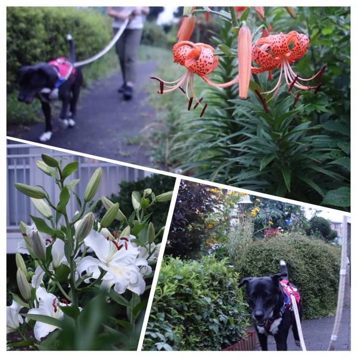 Ad9adb90 5d30 48c9 95b0 06520d26337b 1657017807874