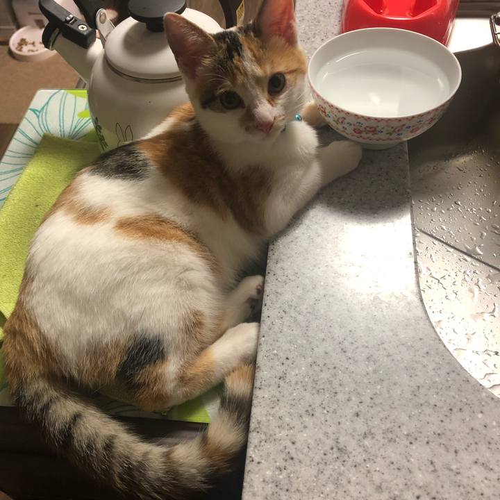 Ad9ae827 c53a 429a 85d8 4c1087702a20 1568115713057