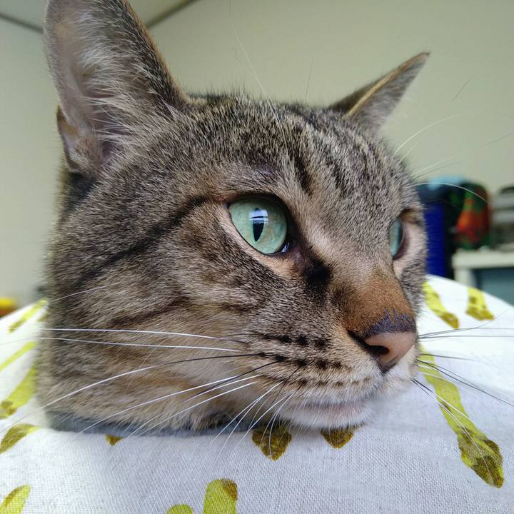 Ad9afa61 657b 4fd1 b92c 443bd87f4e52 1731746633656